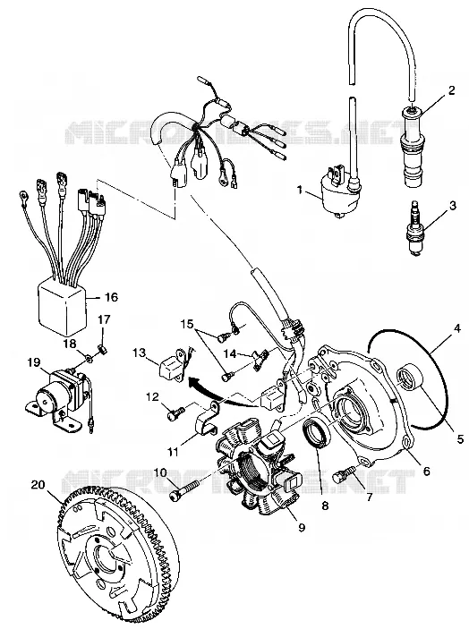 STATOR