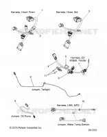 ELECTRICITE, JUMPERS/WIRE HARNESS