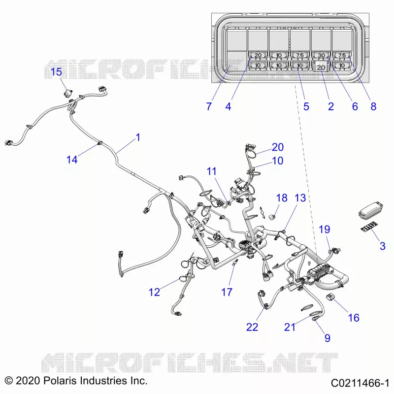 ELECTRICITE, HARNESS
