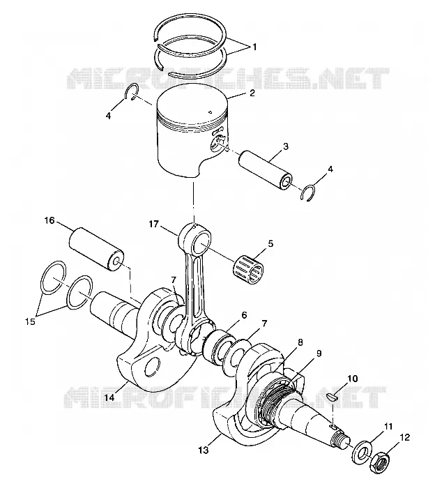 VILEBREQUIN AND PISTON
