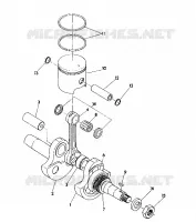 PISTON ET VILEBREQUIN  STAR LITE (4921332133029A)