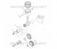 VILEBREQUIN AND PISTON