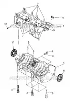CARTERS MOTEUR  440 XCR (4921352135035A)