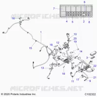 ELECTRICITE, HARNESS