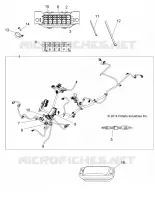ELECTRICITE, HARNESS