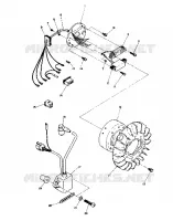 STATOR (STAR) (4910951095024A)