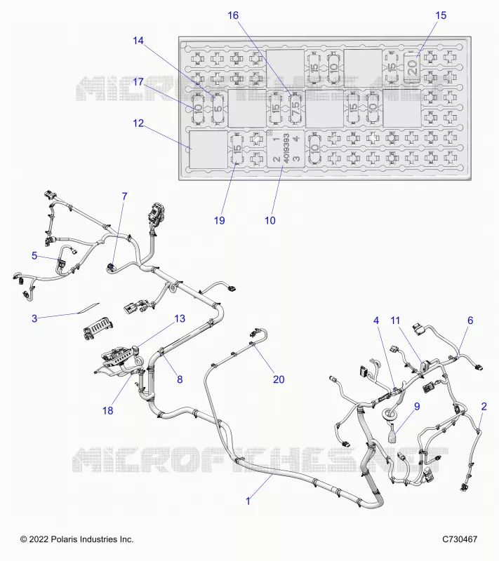ELECTRICITE, WIRE HARNESS