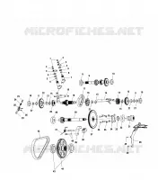 PONT (INTERNAL COMPONENTS)