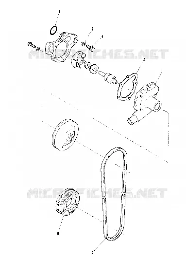 POMPE A EAU (400) (4909500950042A)