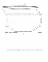 BODY, WINDOW, REAR