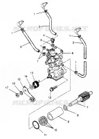 POMPE A HUILE XLT 0970756, XLT SKS 0970556,  and XLT RMK 0970956 (4937693769D005)