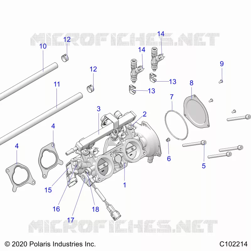 ENGINE, CORPS DE PAPILON