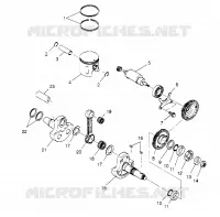 PISTON ET VILEBREQUIN XPLORER 4X4 W959140 (4930223022C014)