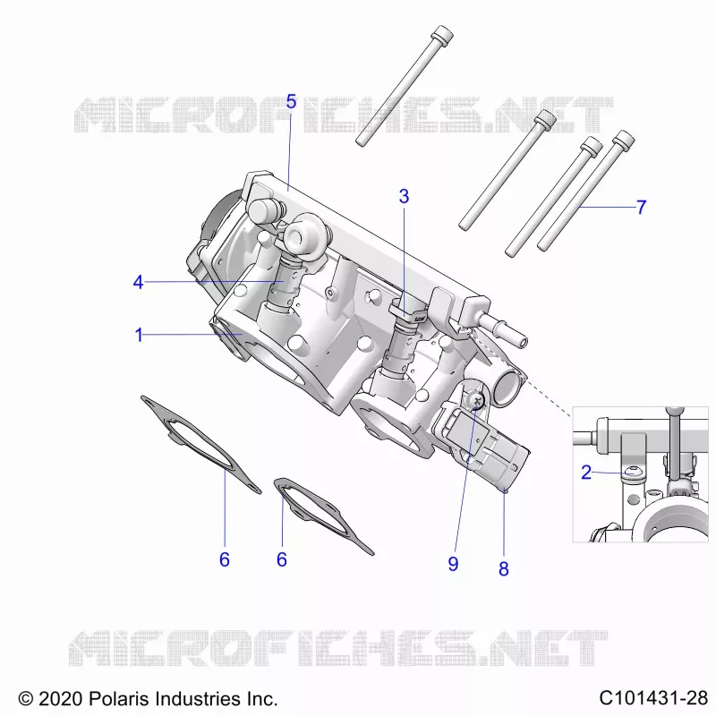 ENGINE, CORPS DE PAPILON