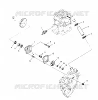 POMPE A EAU Sportsman 4x4 W958040 (4930403040D002)