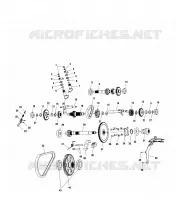 PONT (INTERNAL COMPONENTS)