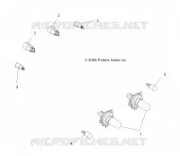 AMPOULES