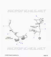 ELECTRICITE, WIRE HARNESS, HOOD, ELECTRIC START