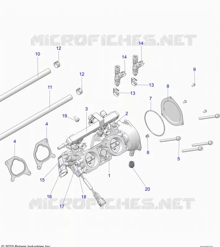ENGINE, CORPS DE PAPILON