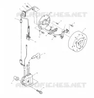 STATOR