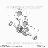ENGINE, PISTON AND VILEBREQUIN
