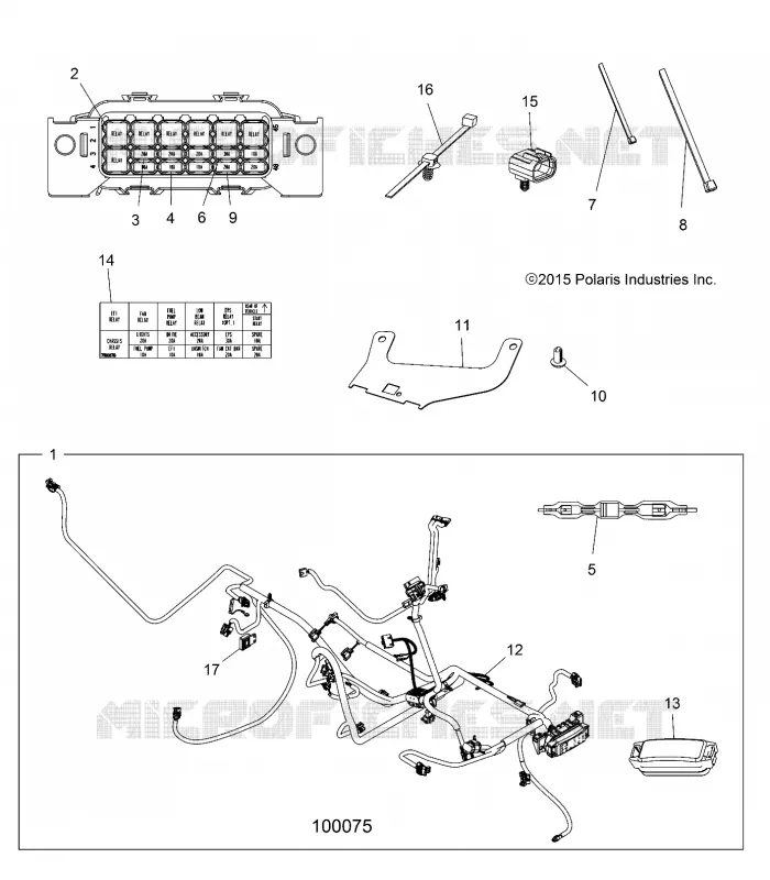 ELECTRICITE, HARNESS