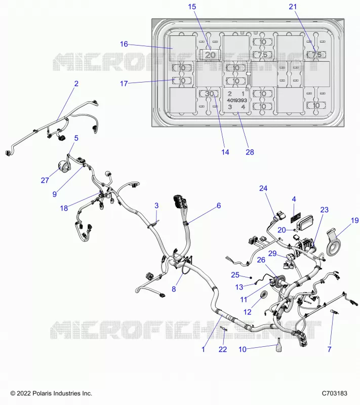 ELECTRICITE, WIRE HARNESS