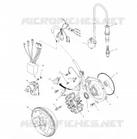 STATOR