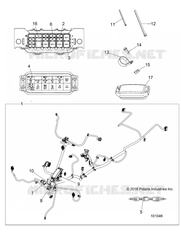 ELECTRICITE, HARNESS
