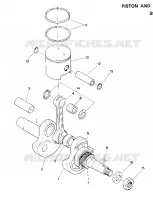 PISTON AND VILEBREQUIN STAR AND STARTRAK (4916811681036A)