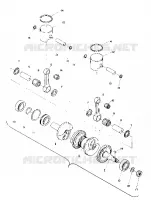 PISTON AND VILEBREQUIN (TRAIL) (4909500950033A)