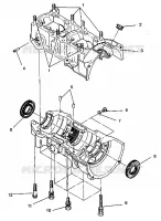 CARTERS MOTEUR ASSEMBLY 440 XCR SP 0941660 (4927082708033A)