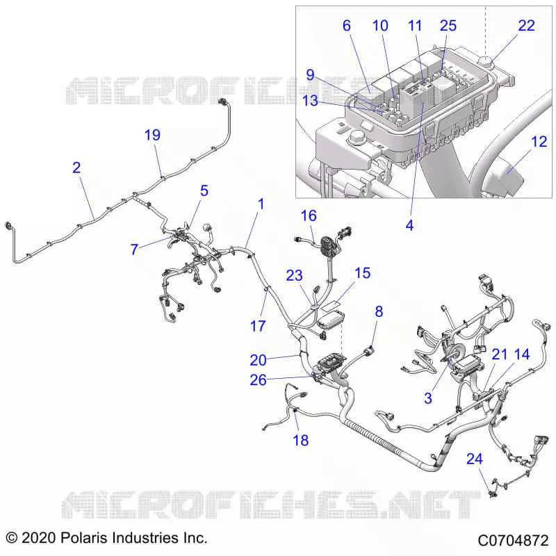 ELECTRICITE, WIRE HARNESS