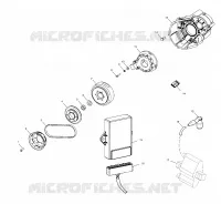 STATOR