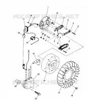 STATOR Trail (4915441544026A)