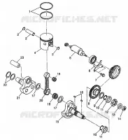 PISTON ET VILEBREQUIN (400L) XPRESS 400L W97CA38C (4939603960D008)