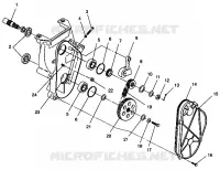 CARTER DE CHAINEE ASSEMBLY 500 EFI 0942774 AND EFI SKS 0942574 (4924982498016A)