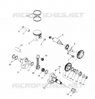 PISTON ET VILEBREQUIN SCRAMBLER W957840 (4927252725C012)