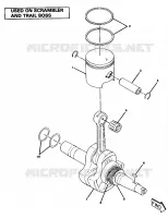 VILEBREQUIN AND PISTON ASSEMBLY (4911701170044A)