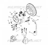 STATOR ASSEMBLY 2X4 350L W937539 (4924032403038A)