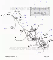 ELECTRICITE, HARNESS