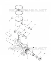 PISTON AND VILEBREQUIN STAR (4914151415024A)
