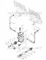 POMPE A HUILE LITE GT 0953133 and  EUROPEAN LITE GT E953133 (4928922892C008)