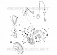 STATOR