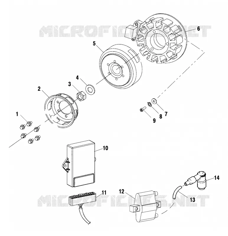 STATOR