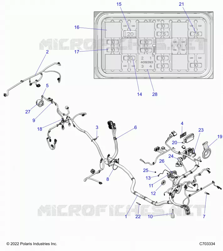 ELECTRICITE, WIRE HARNESS