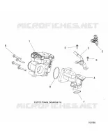 ENGINE, CORPS DE PAPILON AND FUEL RAIL
