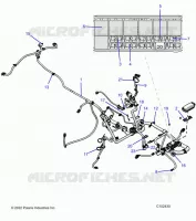 ELECTRICITE, HARNESS