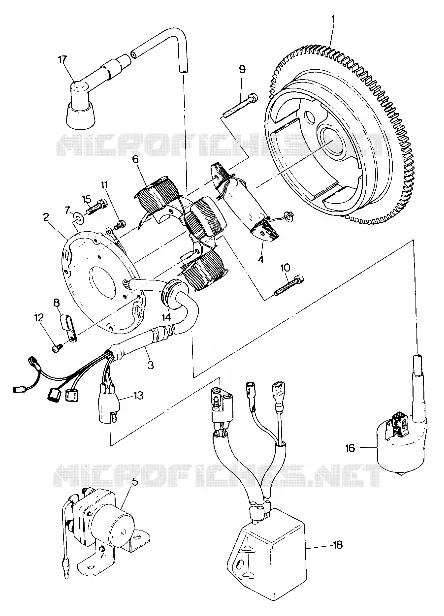 STATOR ASSEMBLY Trail Boss / W928527 (4922892289038A)