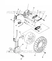 STATOR Trail (4915441544026A)